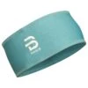 Bandeau Nordique Bjorn Daehlie Polyknit DELPHIUM BLUE
