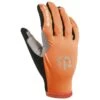 Gant Nordique Bjorn Daehlie Glove Summer Golden Sun 2 Gant Nordique Bjorn Daehlie Glove Summer Golden Sun -Matériel De Ski Reduction 413a060d2ffaf7991fc9604c76cdcf4a9007ee17 VE19BJORACC005 0