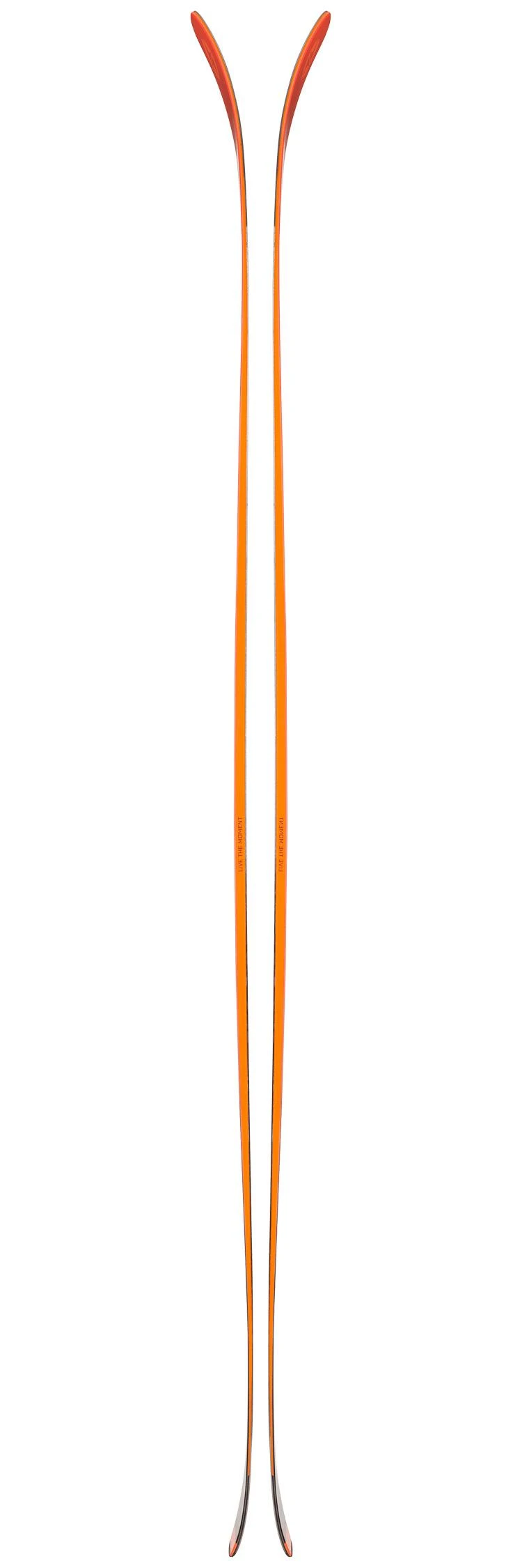 Ski Blizzard Hustle 10 6 Ski Blizzard Hustle 10 – Image 4