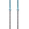 Bâton Dynafit Tour Vario (105 - 145 Cm) Frost