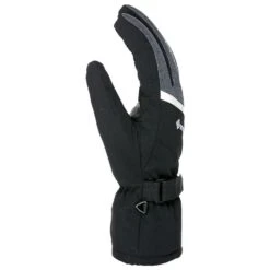 Gant Level Evolution Gore-tex Noir Gris -Matériel De Ski Reduction 865669ee3a60b01078c6c385264a5b78797ab212 H18LEVEACC3343378 3