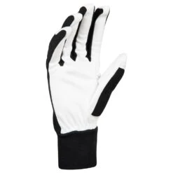 Gant Nordique Bjorn Daehlie Glove Race Black -Matériel De Ski Reduction b82fde299f0aebde55960b9b22c9f114dd265344 H22BJORACC2217029 2