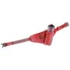 Porte-Gourde Rossignol Nordic Bottle Holder Hot Red -Matériel De Ski Reduction c42f6abb45ac94ca1c3695ff34e0f3738dc083f5 H23ROSSACC250440 ROSS0676370 0
