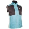 Veste Sans Manche Bjorn Daehlie Vest Aware Wmn Delphium Blue -Matériel De Ski Reduction dbf60b159a2c997f462cffa8af792a8d85cf5b2c H23BJORTTH2253989 0