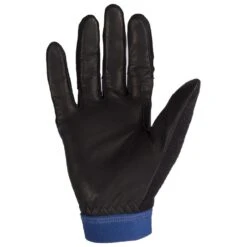 Gant Nordique Bjorn Daehlie Revolution Estate Blue 6 Gant Nordique Bjorn Daehlie Revolution Estate Blue -Matériel De Ski Reduction f5a92cc459d14a88f7e98c78086ec58a30de1bd2 VH20BJORACC005 1